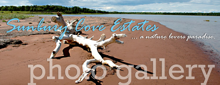 pei vacations and waterfront